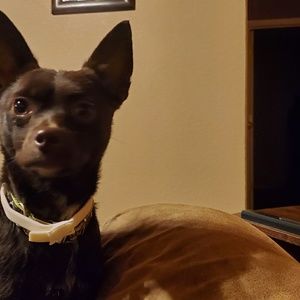 Meet your Posher, Carrie